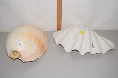 Lot 56 - Two large sea shells