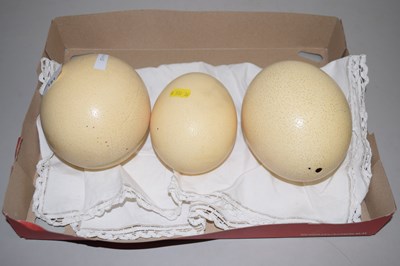 Lot 151 - Group of vintage ostrich eggs