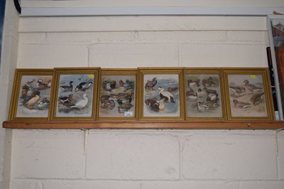Lot 219 - A set of six coloured prints of water fowl,...