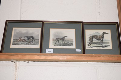 Lot 223 - Three framed engravings of greyhounds