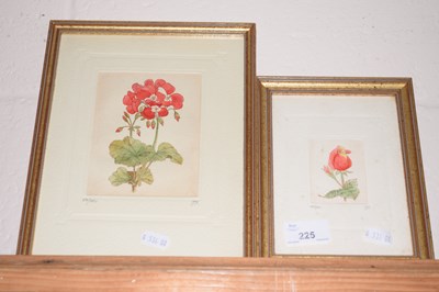 Lot 225 - Two small botanical prints