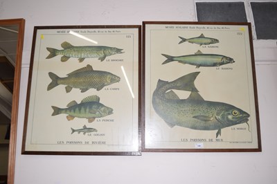 Lot 729 - Pair of French prints of fish