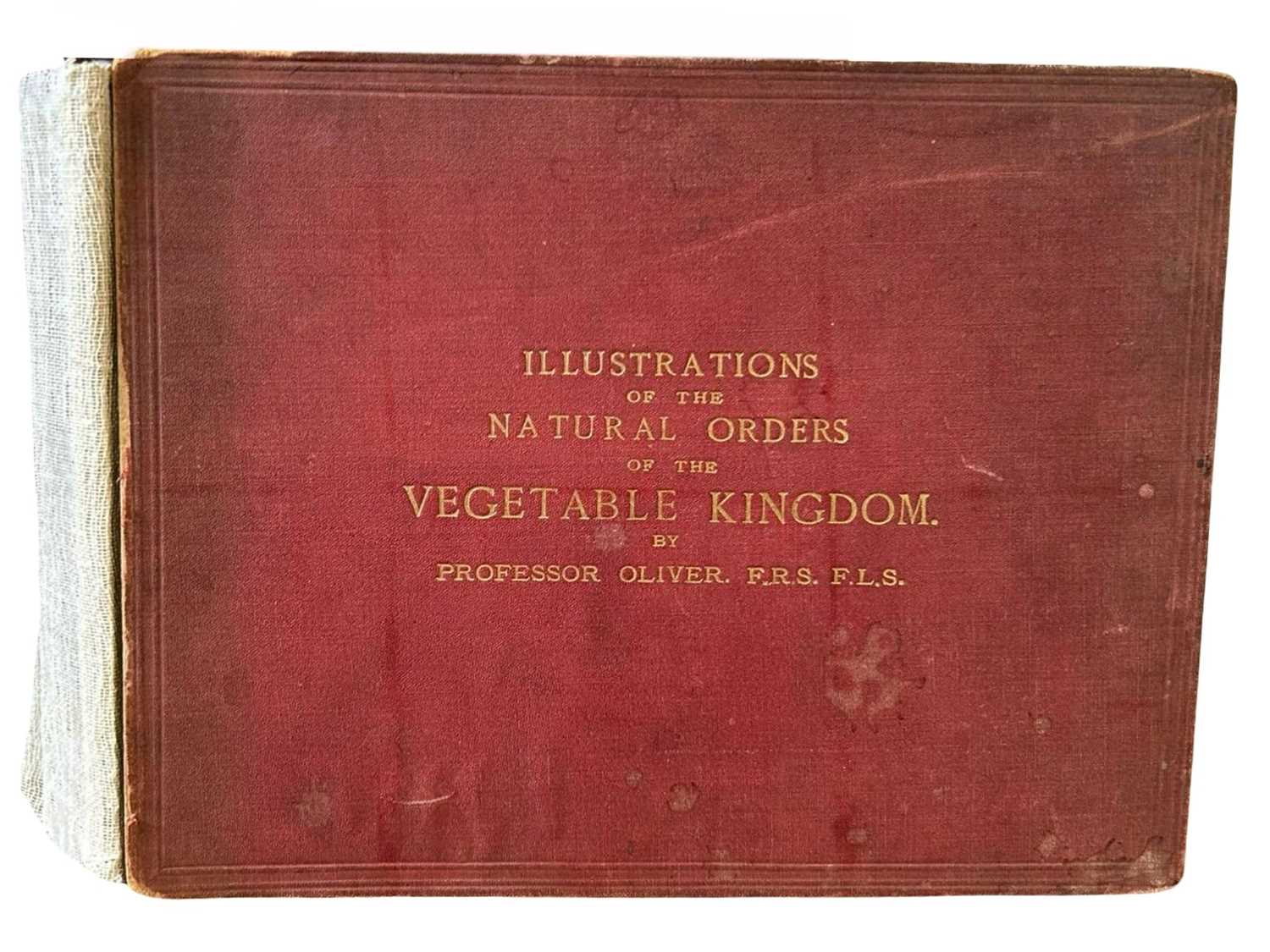 Lot 42 - Oliver (Daniel) Illustrations of the principal...