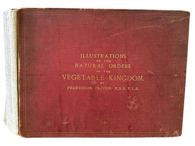 Lot 42 - Oliver (Daniel) Illustrations of the principal...