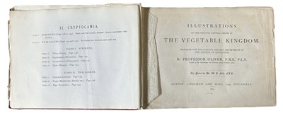 Lot 42 - Oliver (Daniel) Illustrations of the principal...