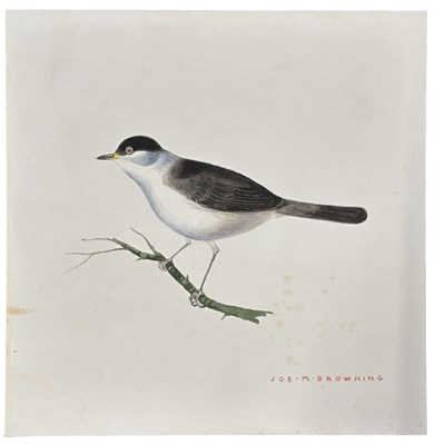 Lot 1103 - ORNITHOLOGY - BIRDS. Beautifully carried out...