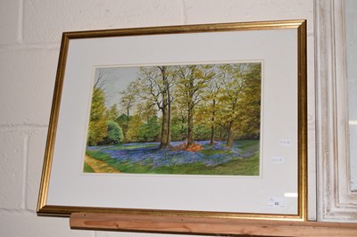 Lot 30 - Framed study of bluebell woods