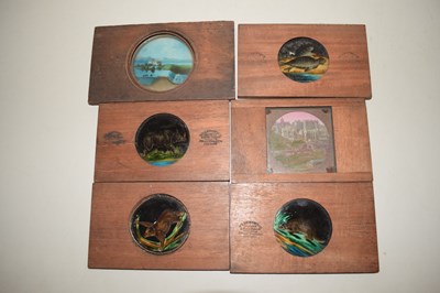 Lot 98 - Vintage hardwood framed Magic Lantern slides