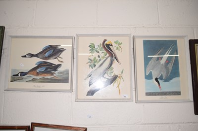 Lot 286 - A group of three ornithological prints