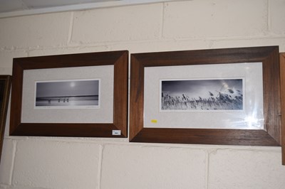 Lot 303 - Two coloured photographic prints, Four Swans...