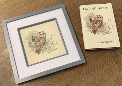 Lot 91 - Ian Willis (1944-2024), Tawny Owl study,...