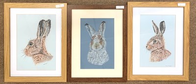 Lot 124 - Anne Bunyan (British), Leveret, adult Hare and...