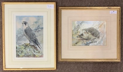 Lot 8 - Trevor Parkin (British, b.1935), Peregrine...