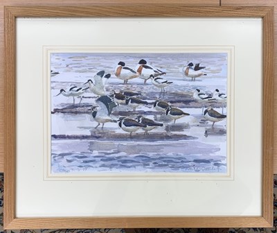 Lot 81 - Robert Greenhalf (b.1950), Shelduck, Avocet...