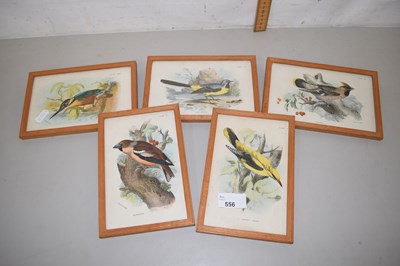 Lot 556 - Quantity of prints of birds