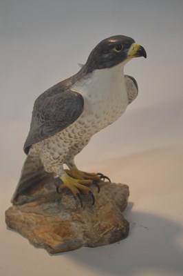 Lot 380 - A Royal Crown Derby model of a Falcon, with...