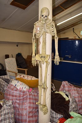 Lot 787 - halloween skeliton