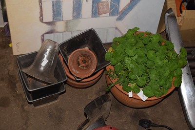 Lot 858 - Terracotta pots and others