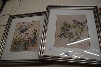 Lot 752 - ANNE WILDING, STUDY OF KINGFISHERS AND...