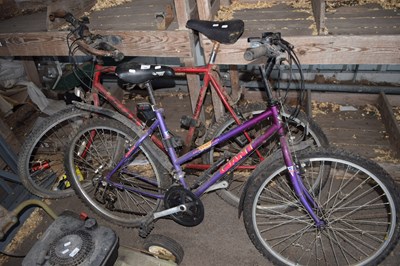 Lot 366 - Two mountain bikes