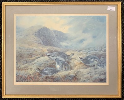 Lot 21 - Archibald Thorburn (1860-1935), Ptarmigan,...