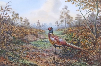 Lot 391 - Carl Donner (b.1957), Pheasants in an autumnal...