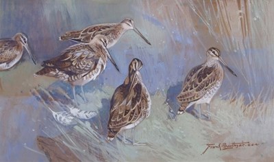 Lot 396 - Edward Frank Southgate RBA (1872-1916), Snipe,...