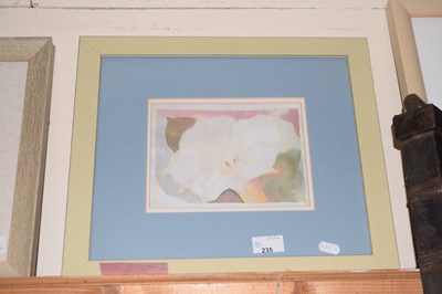 Lot 235 - A framed study of a white flower