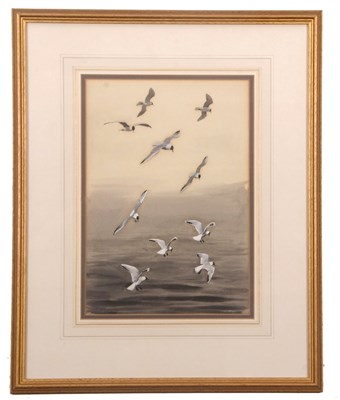 Lot 422 - John Cyril Harrison (1898-1985), Black-headed...