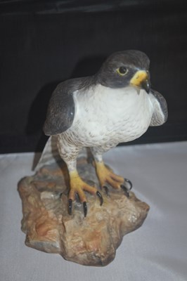 Lot 289 - Large Royal Crown Derby model of a Falcon,...