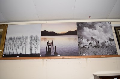 Lot 234 - Three modern photographic prints on canvas