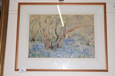 Lot 737 - Bluebell wood, watercolour, framed