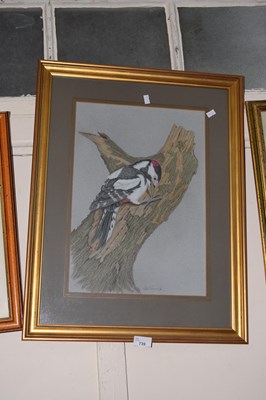 Lot 739 - Study of a woodpecker, mixed media, gilt framed