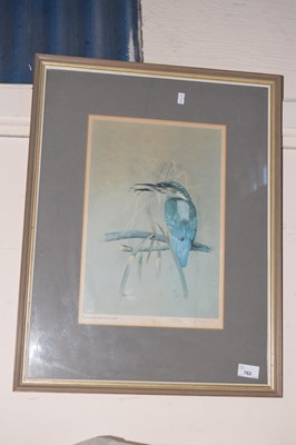 Lot 762 - Study of a Kingfisher by Rex Flood, limited...
