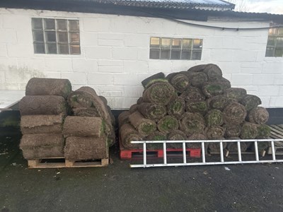 Lot 379 - Three pallets of turf