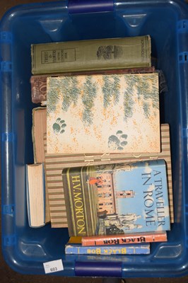 Lot 603 - A mixed box of various books to include novels,...