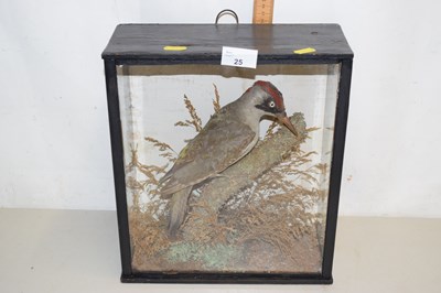 Lot 25 - Taxidermy study of a Woodpecker (cased)