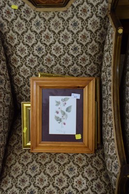 Lot 317 - Group various framed pictures, needleworks etc