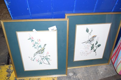 Lot 863 - Pair of bird studies