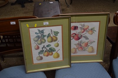 Lot 300 - Pair of coloured prints of fruit
