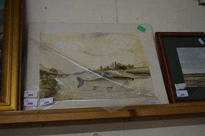 Lot 259 - WATERCOLOUR OF A FISH, MOUNTED BUT UNFRAMED