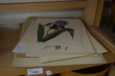 Lot 558 - QUANTITY OF BOTANICAL PRINTS, UNFRAMED