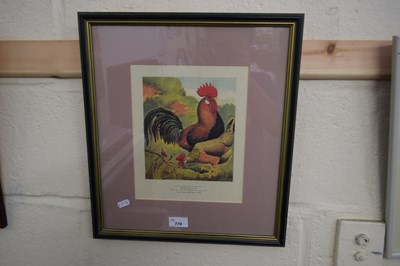 Lot 770 - PRINT OF CHICKENS, BROWN LEGHORNS