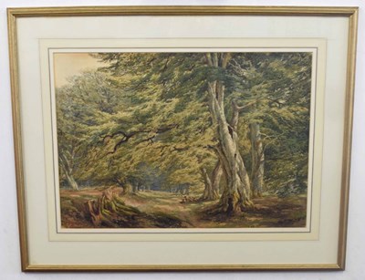 Lot 239 - British, 20th century, An England glade with...