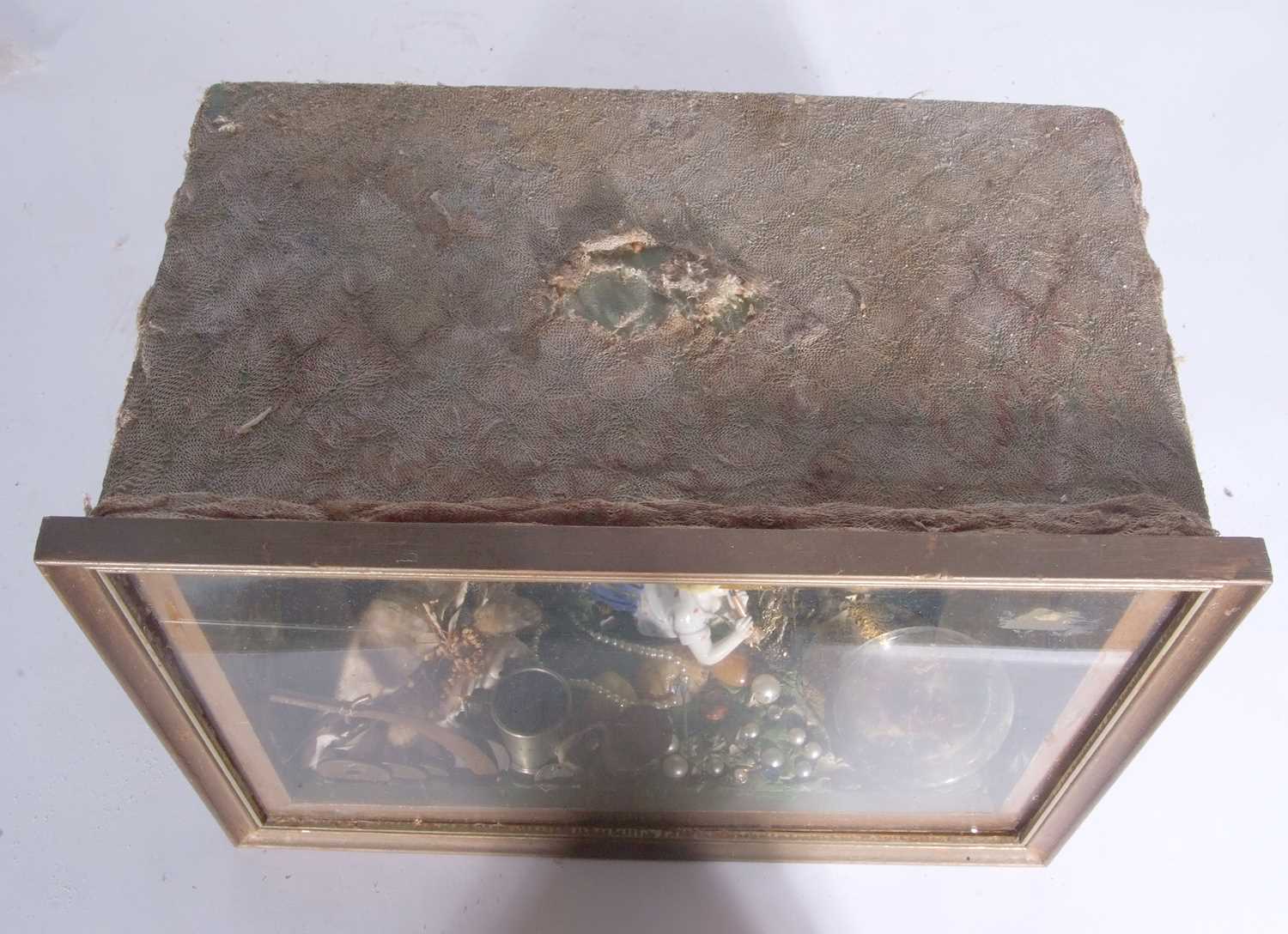 Lot 446 Unusual Victorian of curiosities