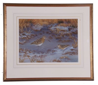 Lot 40 - Richard Robjent (British 20th Century), Snipe...