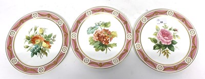 Lot 60 - Quantity of 19th century plates, all painted...