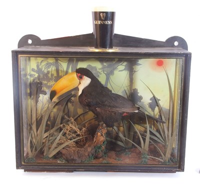 Lot 112 - 20th Century cased taxidermy Toco Toucan...