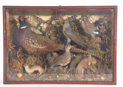 Lot 116 - 20th century cased taxidermy diorama including...