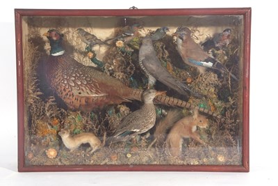 Lot 116 - 20th century cased taxidermy diorama including...